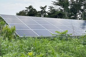 埼玉県の太陽光発電メンテナンス・O&M業者を紹介